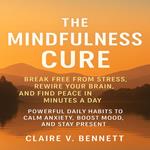 Mindfulness Cure, The