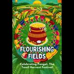 Flourishing Fields: Celebrating Pongal, The Tamil Harvest Festival