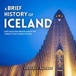 Brief History of Iceland, A