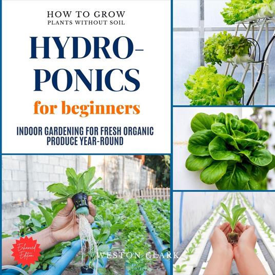 Hydroponics for Beginners: