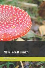 New Forest Funghi: Up Close