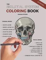 The Skeletal System Coloring Book: A Creative Dive into the Skeletal System