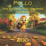 Pollo: The Chicken That Crossed The Road