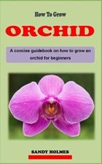 How to Grow Orchids: A concise orchid plant care guidebook on how to grow and care for orchid effectively for beginners