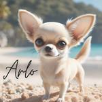 Arlo: The adventures of a cute Chihuahua named Arlo