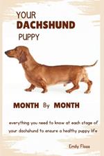 Your Dachshund Puppy Month by Month: Everything you need to know at each stage to ensure a playful and healthy puppy