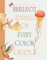 Brilliant Animals Of Every Color: Orange Edition