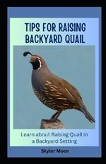 Tips for Raising Backyard Quail: Learn about Raising Quail in a Backyard Setting