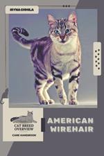 American Wirehair: Cat breed overview, care handbook