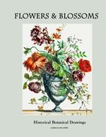 Flowers & Blossoms: Historical Botanical Drawings