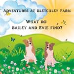 Adventures at Bletchley Farm: What do Bailey and Evie find?