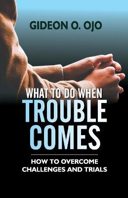 What to Do When Trouble Comes: How To Ovecome Challenges And Trials - Ojo - cover