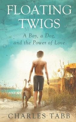 Floating Twigs - Charles Tabb - cover