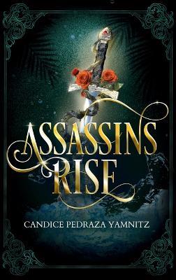 Assassins Rise - Candice Pedraza Yamnitz - cover