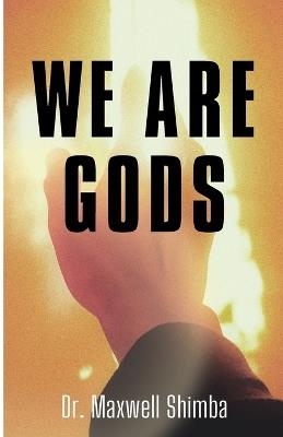 We Are Gods - Shimba - cover
