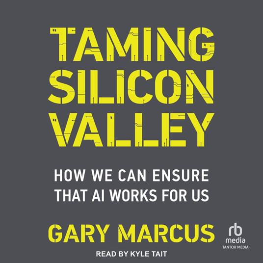 Taming Silicon Valley