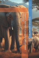 Amara and Kito a journey of love and courage