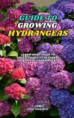 Guide to Growing Hydrangeas: Learn what to do to successfully cultivate beautiful hydrangeas
