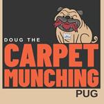 Doug the Carpet Munching Pug