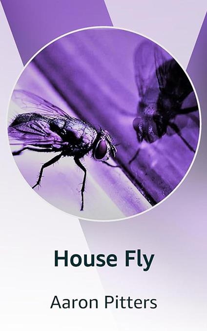 House Fly
