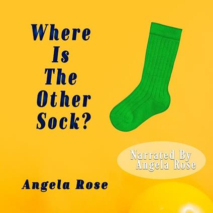 Where is The Other Sock?