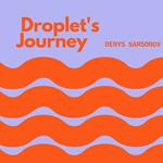 Droplet's Journey