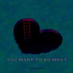 You want to do what