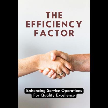Efficiency Factor, The: Enhancing Service Operations For Quality Excellence