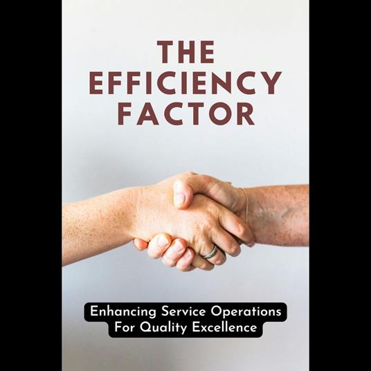 Efficiency Factor, The: Enhancing Service Operations For Quality Excellence
