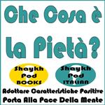 Che Cosa è La Pietà
