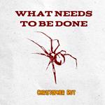 What Needs to be Done