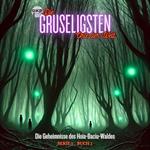 Die Geheimnisse des Hoia-Baciu-Waldes