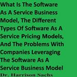 What Is The Software As A Service Business Model, The Different Types Of Software As A Service Pricing Models, And The Problems With Companies Leveraging The Software As A Service Business Model