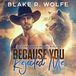 Because You Rejected Me