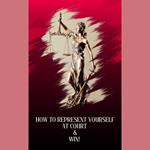 How to Represent Yourself in Court and Win!