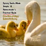 Raising Ducks Made Simple: A Homesteader’s Practical Guide
