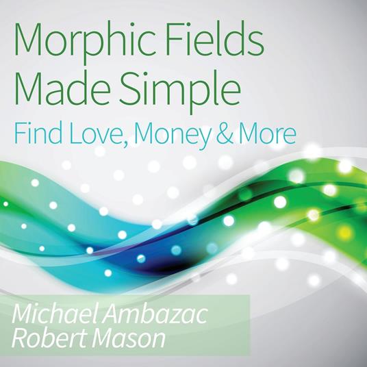 Morphic Fields Made Simple