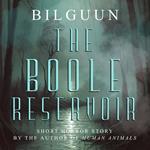 Boole Reservoir, The