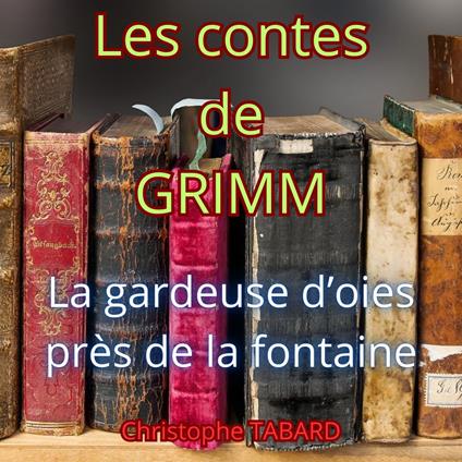 La gardeuse d'oies près de la fontaine