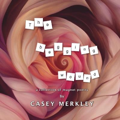 The Begging Wound - Casey Merkley - cover