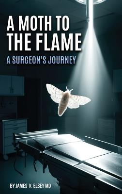 A Moth to the Flame - James K Elsey - cover