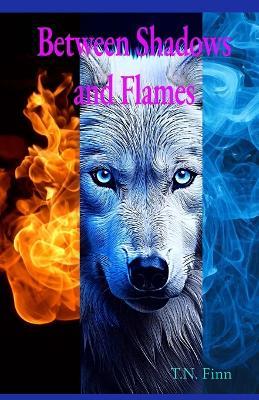 Between Shadows and Flames - T N Finn - cover