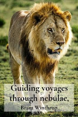 Guiding voyages through nebulae,: Into Untamed Territories - Bram Winthrop - cover