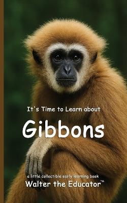 It's Time to Learn about Gibbons - Walter the Educator - cover