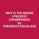 Why is the Negro Lynched? (UNABRIDGED)
