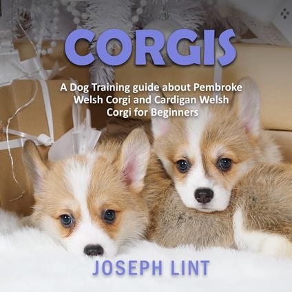 Corgis