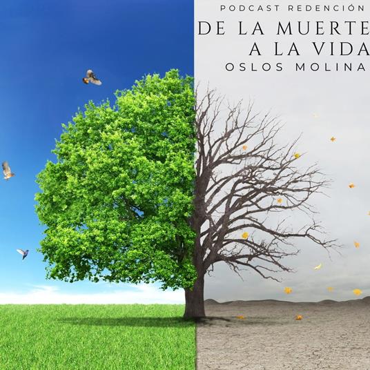 De la muerte a la vida