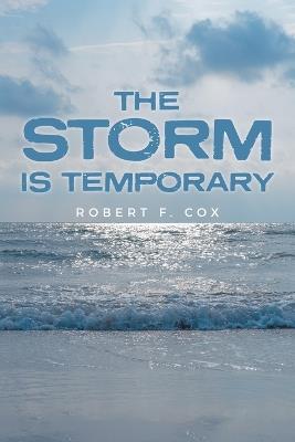 The Storm is Temporary - cover