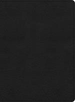KJV Study Bible, Large Print Edition, Black Leathertouch