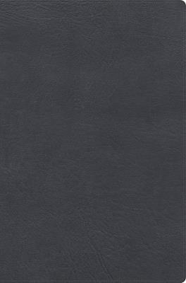 Rvr 1960 Biblia de Estudio Letra Gigante, Gris, Símil Piel - cover